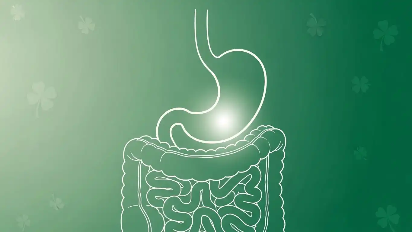 When Digestive Symptoms Need Medical Attention