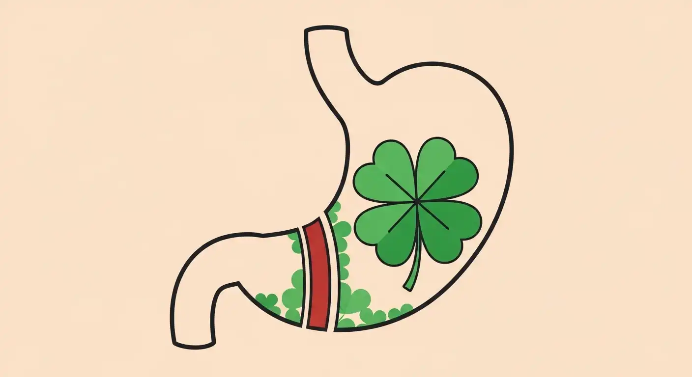 Gallbladder Cancer Surgery in Turkey | Oncology Istanbul